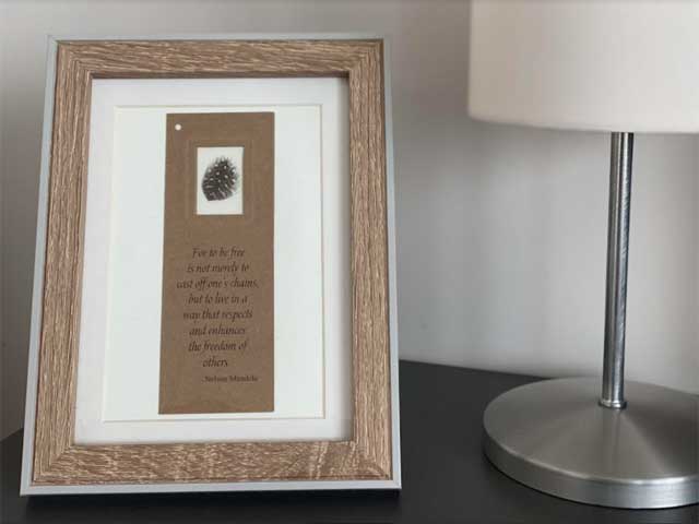 Druivenlaan 14, Oostende