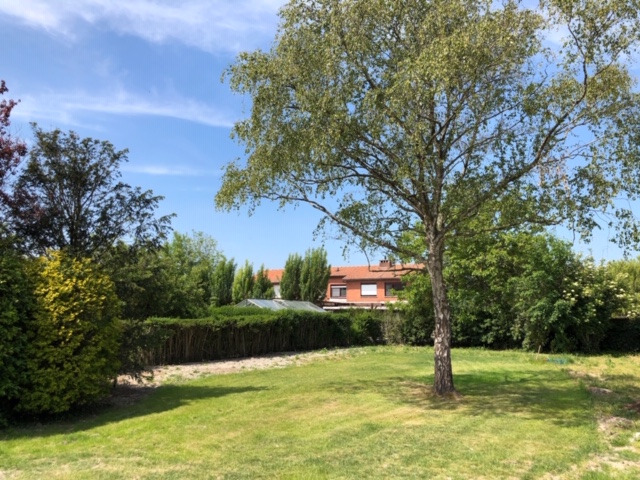 Druivenlaan 14, Oostende